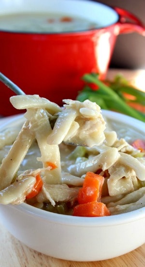 Easy Chicken and Noodle Soup