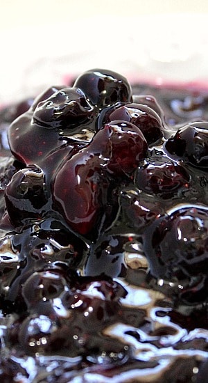 Easy Blueberry Topping