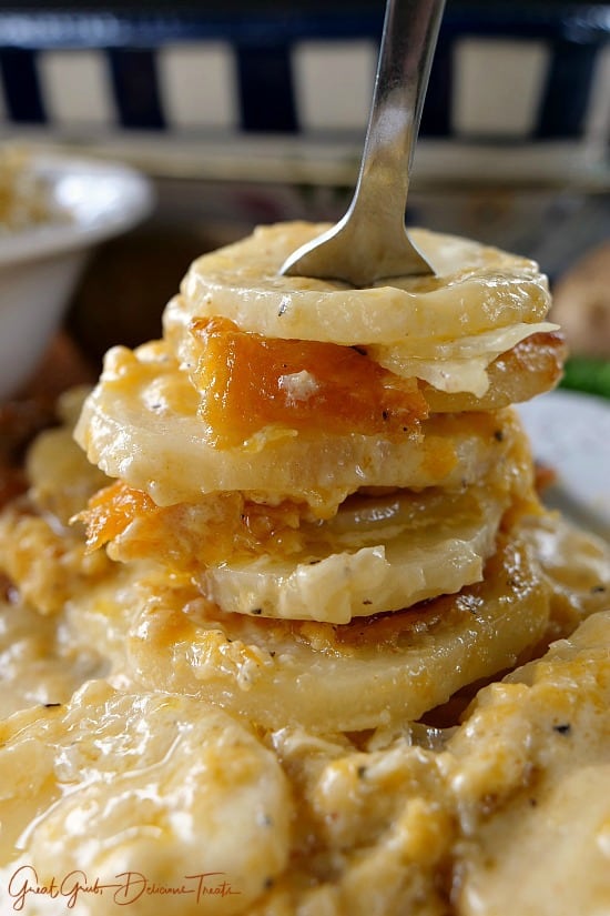 A close up photo of a bite of Cheesy Garlic Scalloped Potatoes.