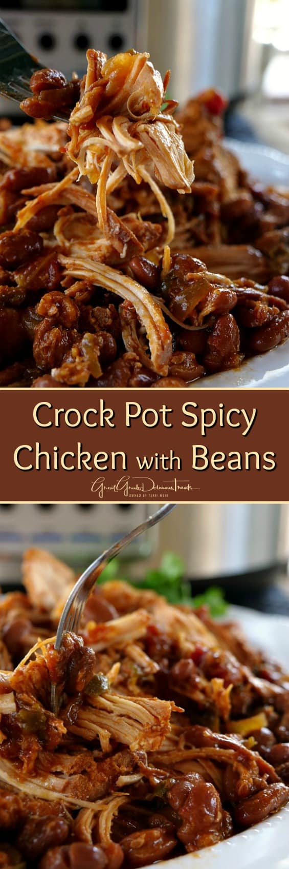 Crock Pot Spicy Chicken with Beans