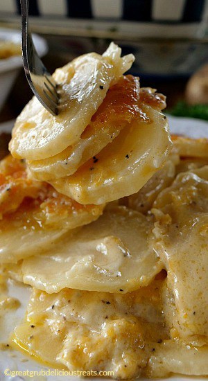 A close up photo of a serving of Cheesy Garlic Scalloped Potatoes with a fork digging in.