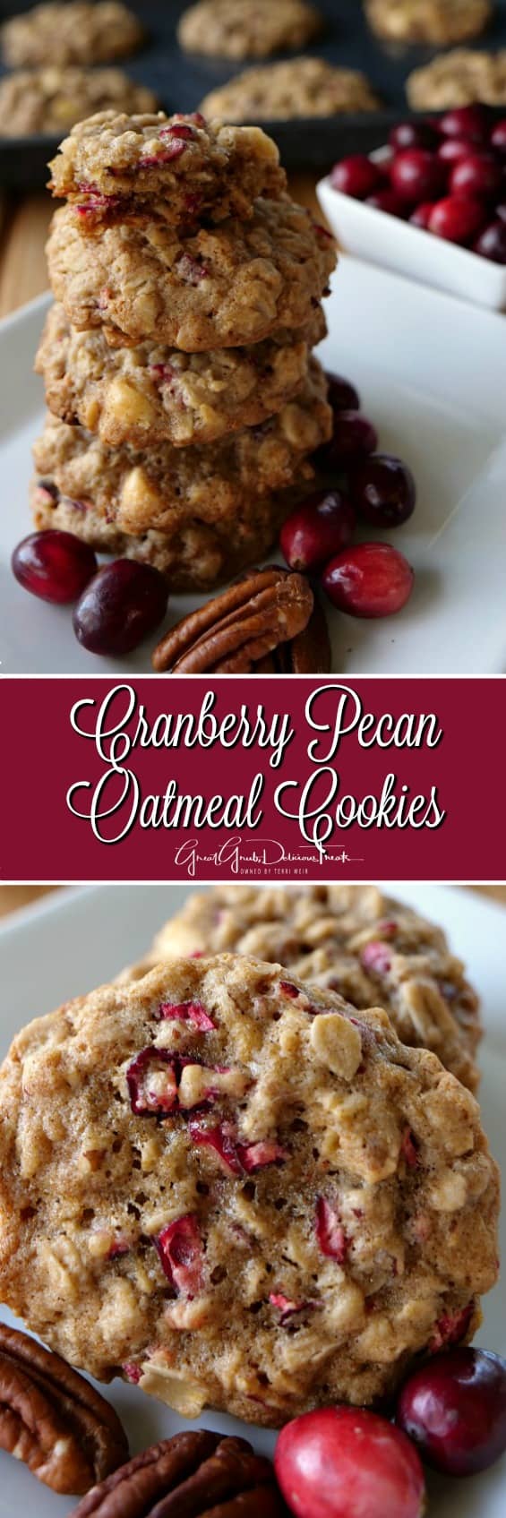 Cranberry Pecan Oatmeal Cookies