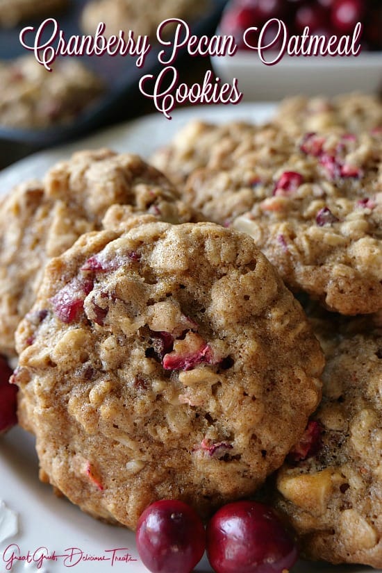 Cranberry Pecan Oatmeal Cookies