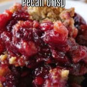 A close up of a white bowl filled with a serving of cranberry crisp.