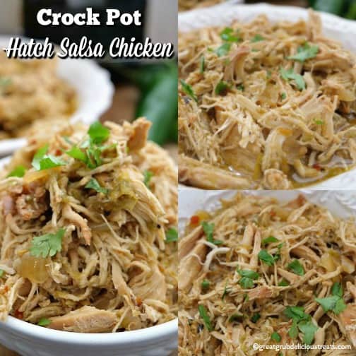 Crock Pot Hatch Salsa Chicken