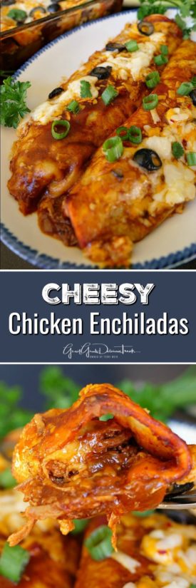 Cheesy Chicken Enchiladas - Great Grub, Delicious Treats