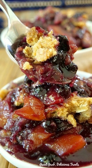 Nectarine Blueberry Crisp is loaded with plump little blueberries, freshly sliced nectarines and has a crisp topping that is to die for.