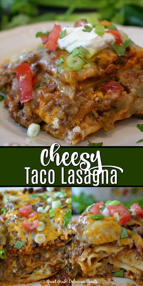 Cheesy Taco Lasagna is loaded with seasoned ground beef, two types of cheese, refried beans, sour cream and lots more deliciousness. 