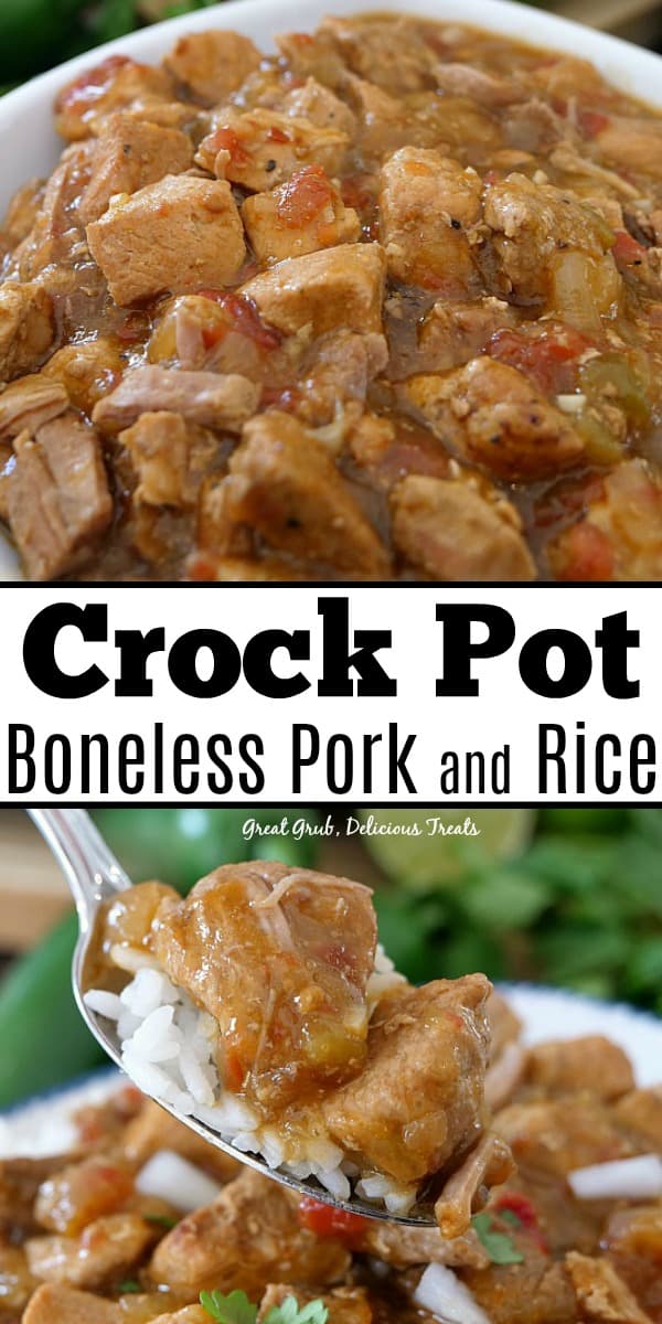 Crock Pot Boneless Pork and Rice is an easy crock pot meal, loaded with delicious pork and served over rice.