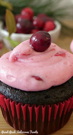 A close up of a chocolate cupcake with cranberry buttercream frosting on it.