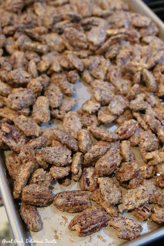 Candied pecans spread out on a cookie sheet lined with parchment paper.