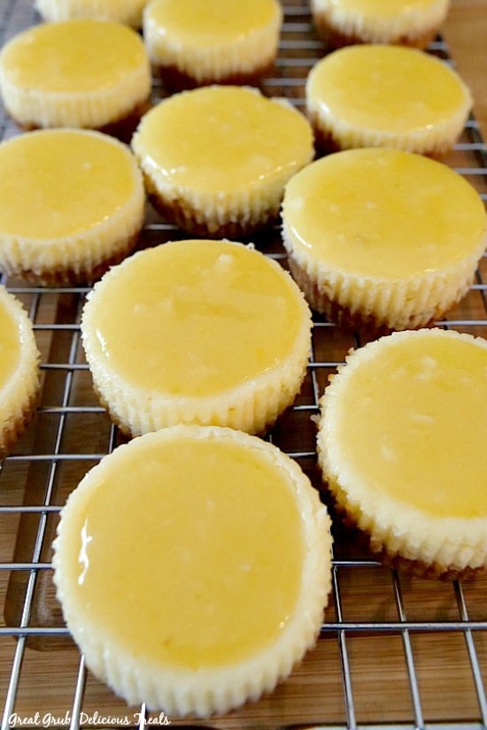 Mini lemon cheesecakes with lemon glaze cooling on a wire rack.