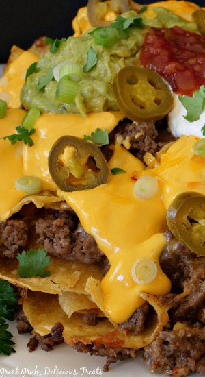 A super close up of nachos on a white plate.