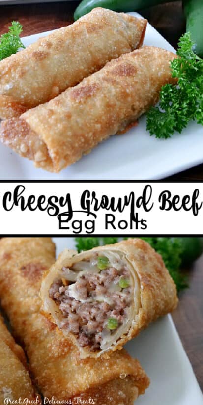 Golden egg roll stuffed with ground beef and mozzarella cheese