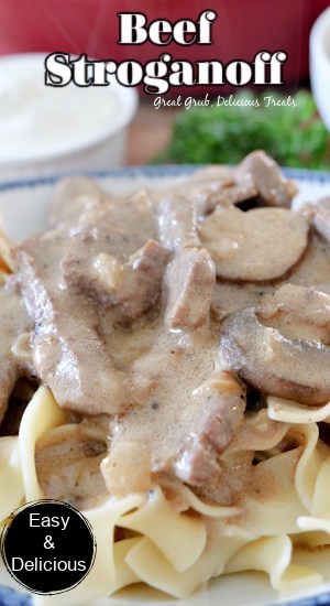 A close up photo of a bowl filled with beef stroganoff showing the egg noodles topped with a creamy sauce and tender pieces of steak.
