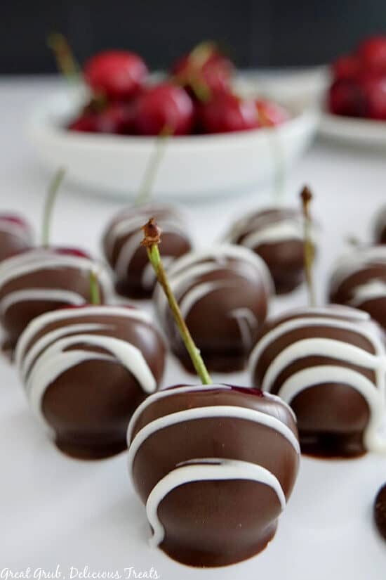 A close up photo of chocolate covered cherries lined up on a white plate.