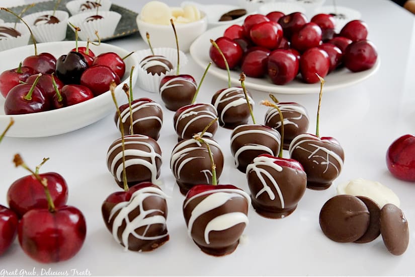 Chocolate covered cherries on a white tray with small bowls of cherries in the background, a handful of cherries and a few piece of chocolate in the foreground.