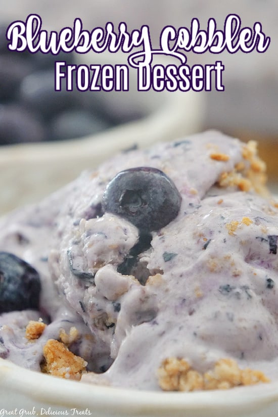 Blueberry Cobbler Frozen Dessert in a white bowl with whole blueberries on top.