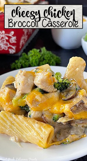 A white plate with chicken and broccoli casserole, pasta noodles, melted cheese, and mushroom sauce on it.