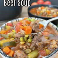 A white and black bowl filled with vegetable beef soup.