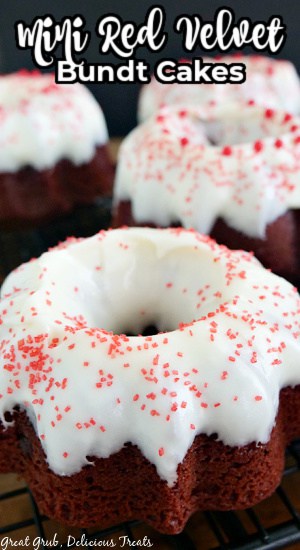 A close up photo of mini red velvet bundt cakes with the title of the recipe at the top.
