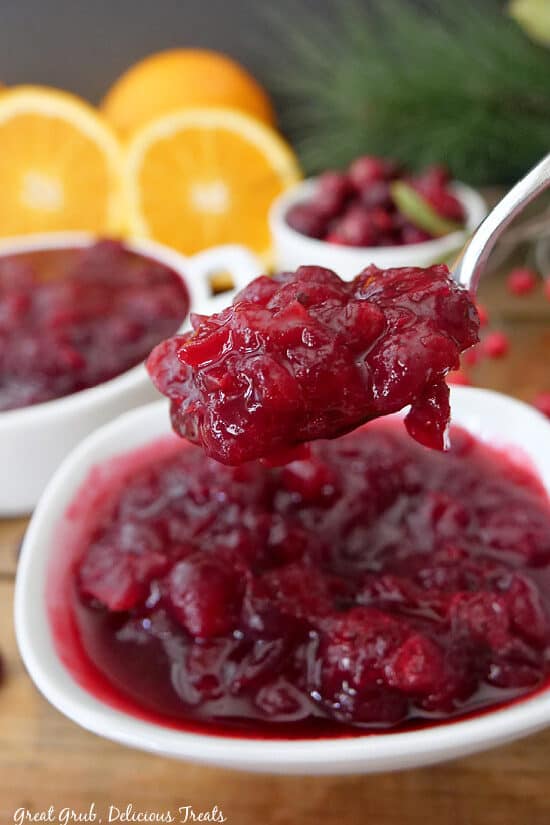 A close up photo of a spoonful of homemade cranberry sauce.