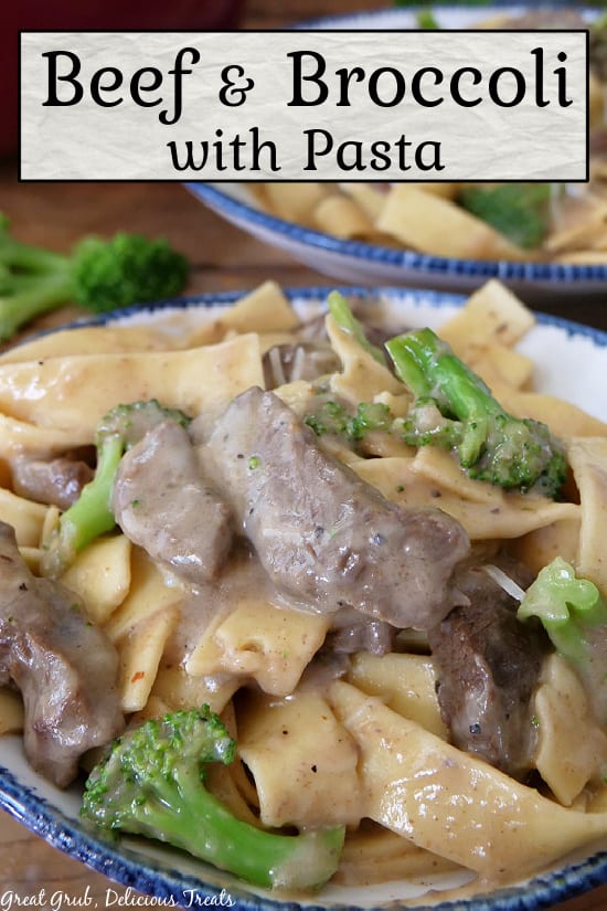 A white bowl with blue trim filled with wide noodles, beef slices, and broccoli florets in a creamy sauce.