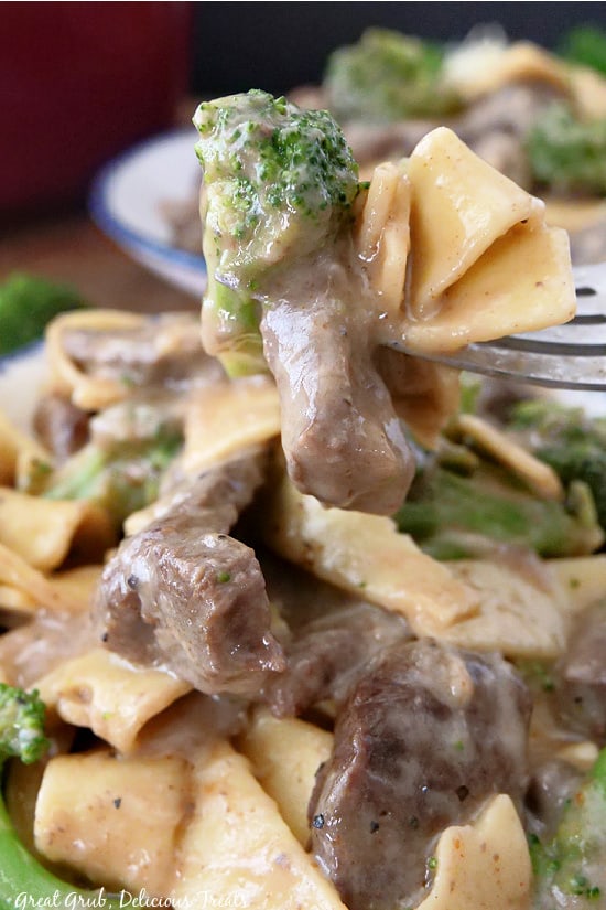 A bite of pasta with noodles, a piece of beef, and broccoli on a fork.