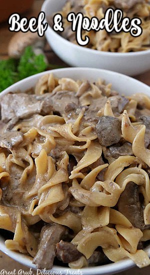 Two white bowls filled with beef and noodles.