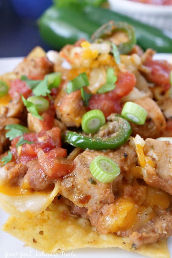 A close up of a serving of chicken nachos on a white plate.