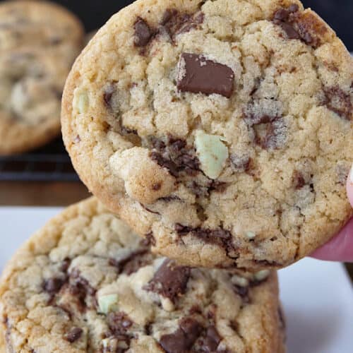 A close up of a mint chocolate chip cookie