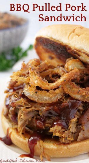 A close-up picture of a BBQ pulled pork sandwich with the title at the top.