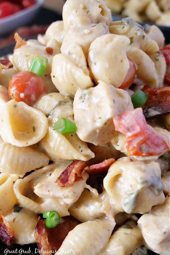 A close up of pasta shells, diced chicken, bacon, spinach and tomatoes in a creamy sauce.