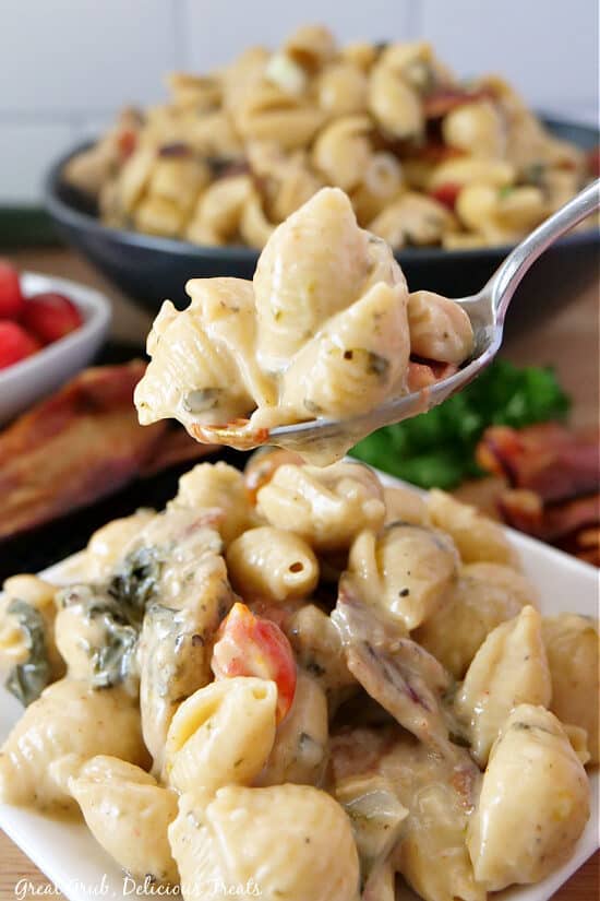 A close up of a spoonful of pasta and chicken.