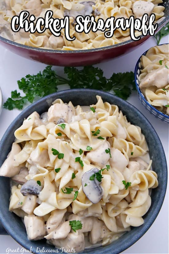A gray bowl with a serving of chicken stroganoff.