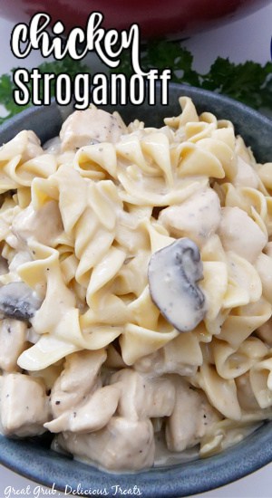A close up of a gray bowl with a serving of chicken stroganoff in it.