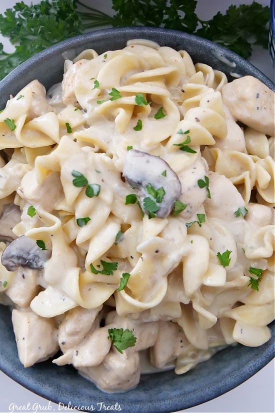 A gray bowl filled with chicken, noodles and mushrooms in a creamy sauce.