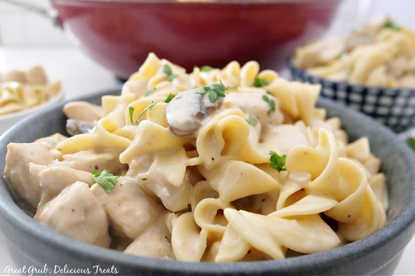 A close up of a bowl with a serving of chicken stroganoff.