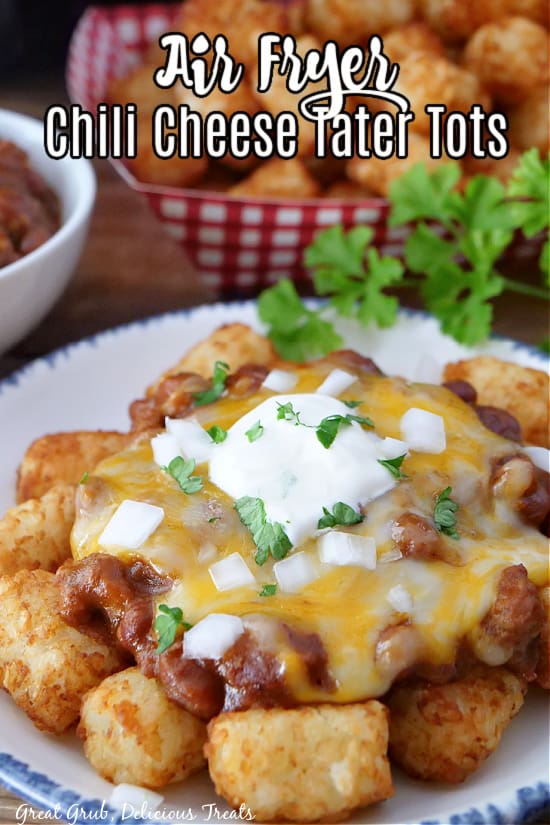 A white plate with tater tots covered in chili, cheese, and sour cream.