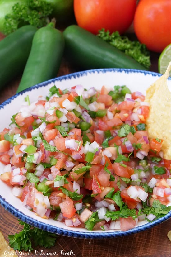 Chopped up tomatoes, jalapenos, onion, and cilantro in a white bowl with blue trim.