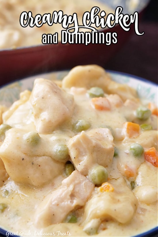 A title on the picture over a bowl of chicken and dumplings.