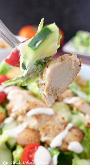 A bite of salad with a slice of cucumber and a piece of diced chicken.