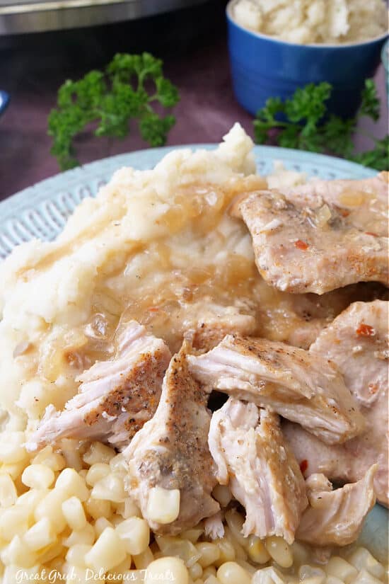 A light blue plate with pork chops, mashed potatoes and white corn on it.