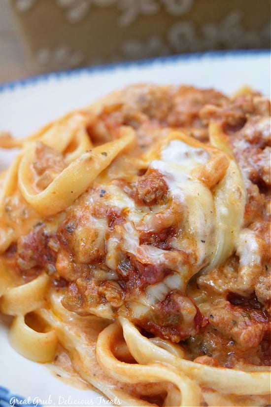 A close up photo of pasta, showing the alfredo and meat sauce.