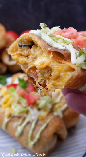 A close up of a fried chicken burrito that was cut in half showing the inside ingredients.