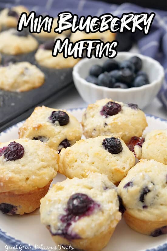 Seven mini blueberry muffins on a white plate with blue trim.