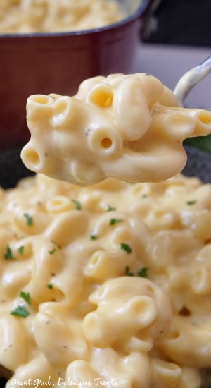 A close up of a spoonful of macaroni and cheese on it.