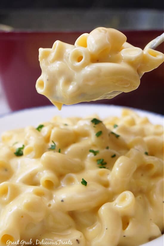 A close up of a spoonful of macaroni and cheese.