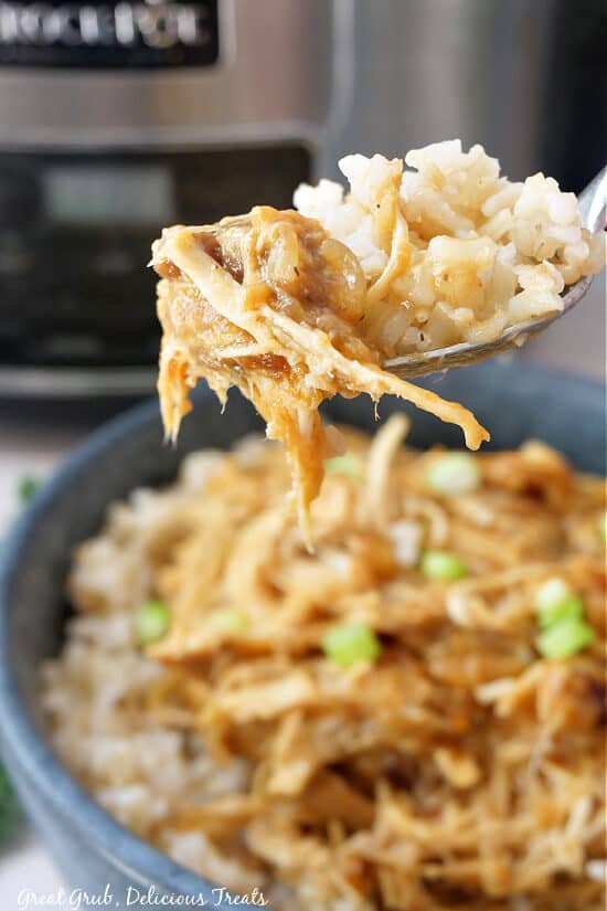 A close up of a spoonful of chicken and rice.