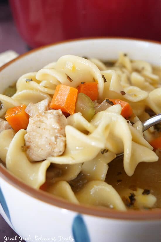 A close up of chicken noodle soup in a white bowl.